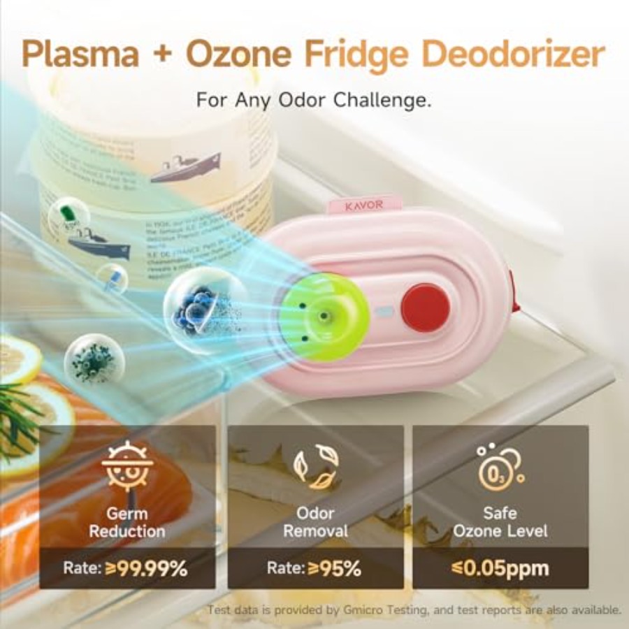 Plasma Fridge Deodorizer Ozone - Odor Eliminator Car บทวิจารณ์และราคา