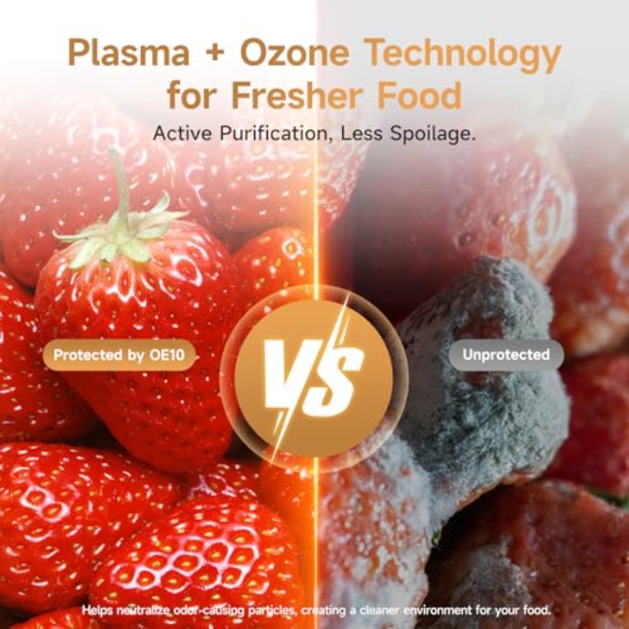 Plasma Fridge Deodorizer Ozone - Odor Eliminator Car บทวิจารณ์และราคา
